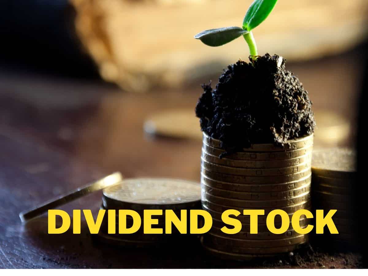 Dividend stock: Large-cap technology stock hits record high after firm announces Rs 23.8/share payout