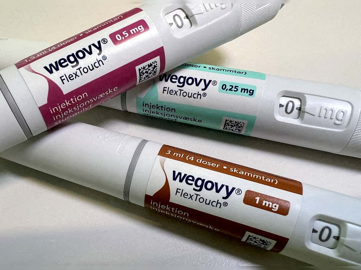 Pharma companies develop versions of Wegovy to get in on weight-loss windfall