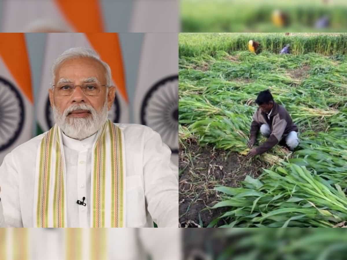 PM Kisan Yojana 16th installment date: Confirmed! PM Narendra Modi to release fund on this date | Check details