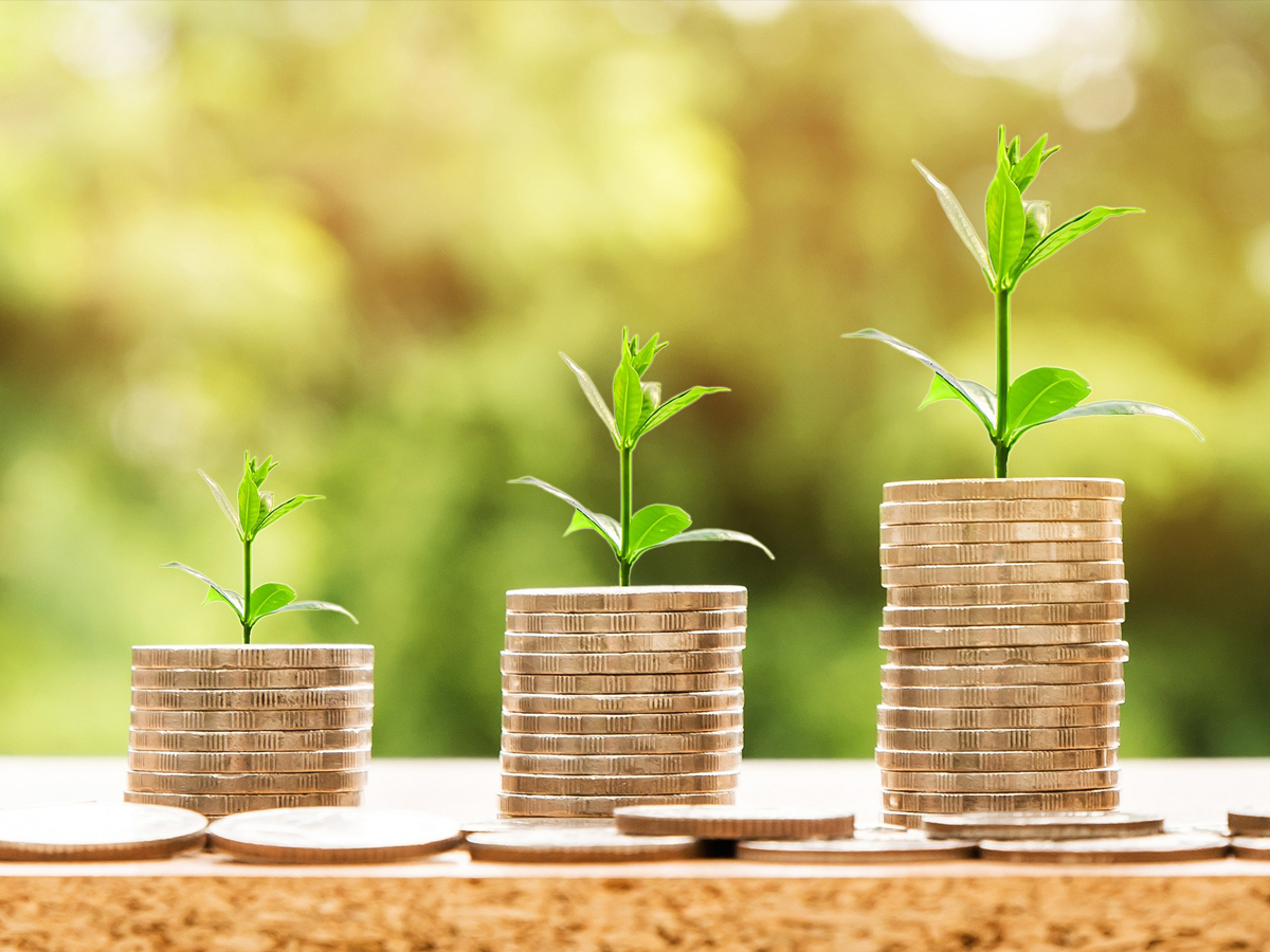National Savings Time Deposit Account: How to get Rs 45K interest on Rs 1 lakh investment in post office FD