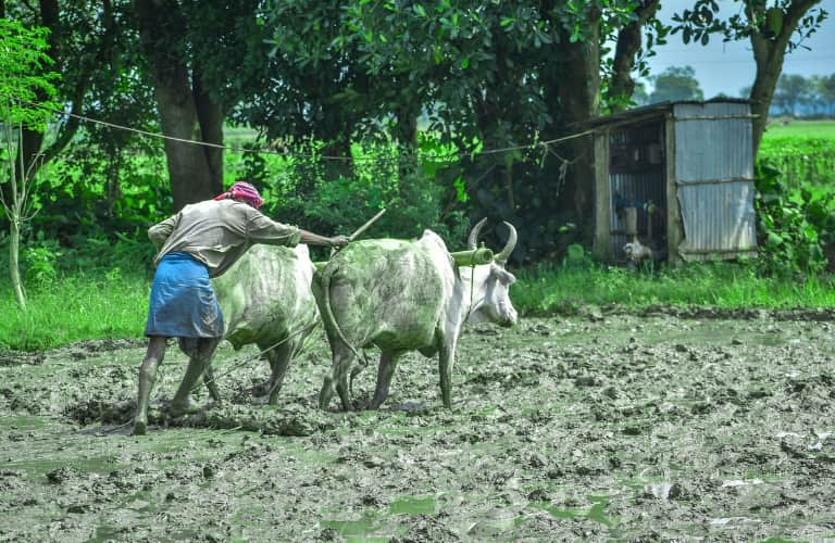 PM Kisan Samman Nidhi Yojana: 16th instalment to be released on Wednesday; check beneficiary status