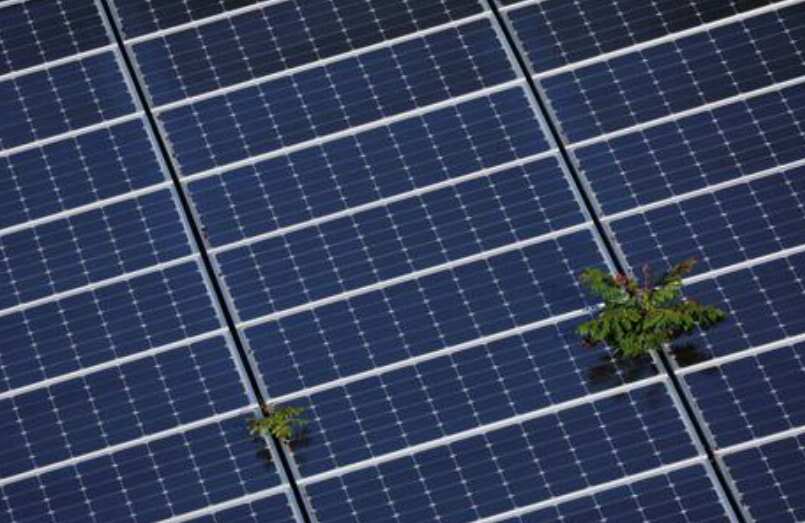 Salasar Techno Engineering gets Rs 200-crore order 