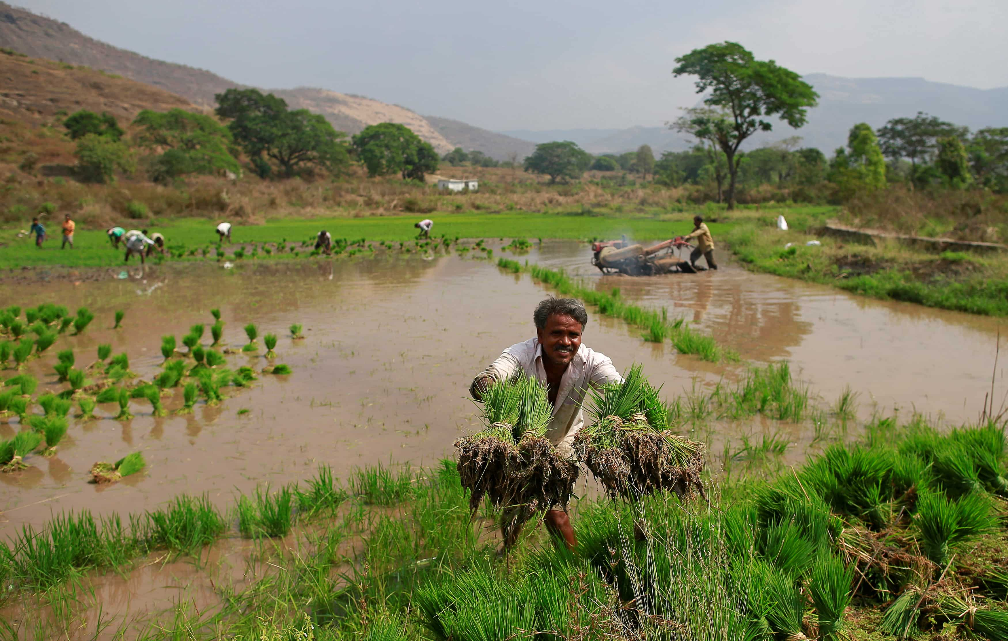 Pm Kisan Samman Nidhi Yojana: How To Check Village-wise Beneficiary 