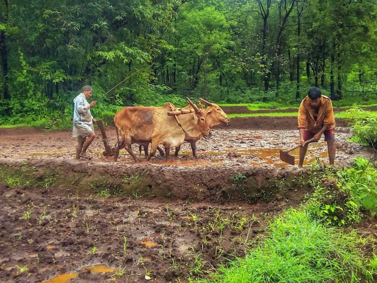 PM Kisan Yojana 16th installment 2024: Rs 2,000 not credited to your bank account? Here’s how to register complaint online
