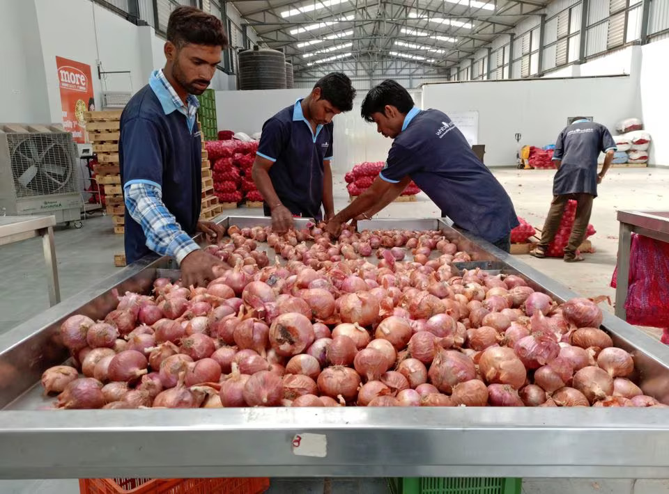 Govt allows export of onion to Bangladesh, UAE with riders