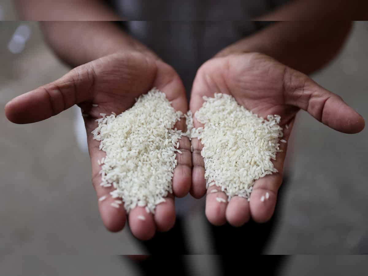 India allows export of 30,000 tonnes of non-basmati white rice to Tanzania 