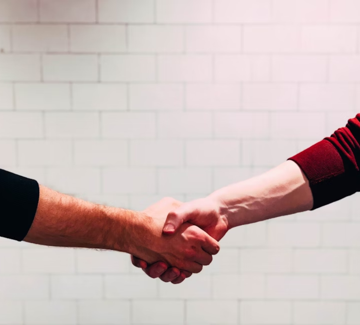 AIM and Meta join hands to establish frontier