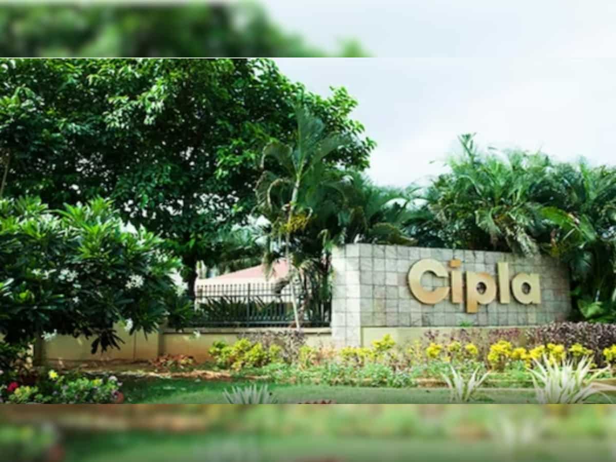 Pharma giant Cipla hits all-time high, stock surges over 70% in one year