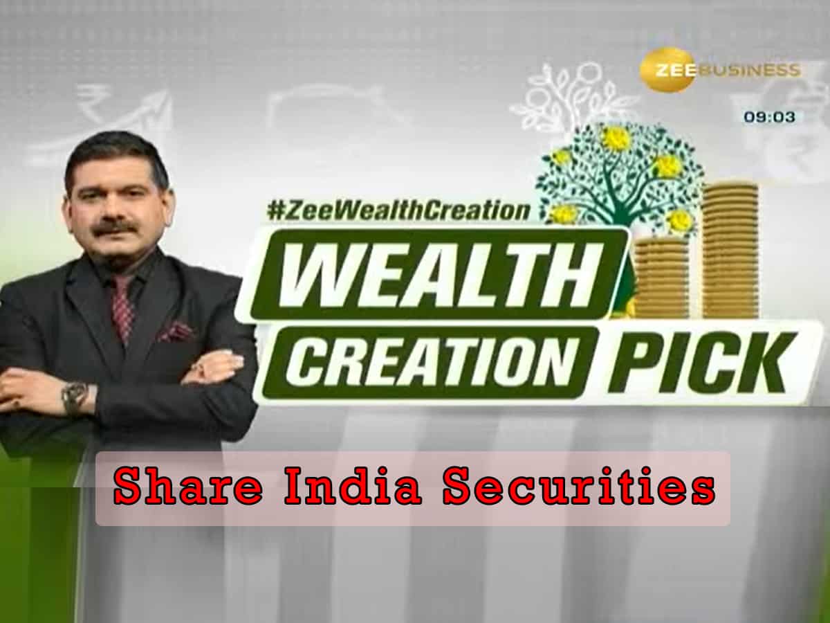 Wealth Creation Pick By Anil Singhvi - Share India Securities: Check target price