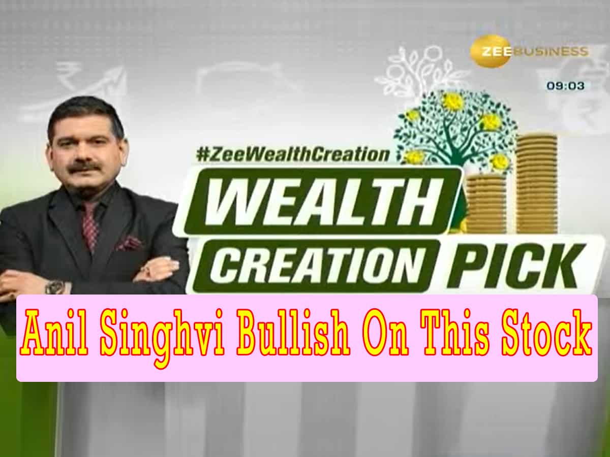 Wealth Creation Pick 2024: Anil Singhvi bullish on this real estate stock - Check target price and right time to buy