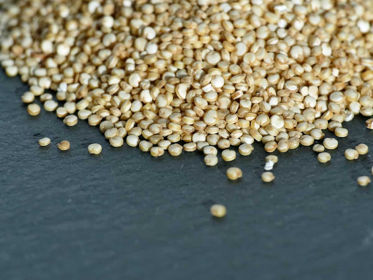 Shree Anna: Sarveshwar Foods takes forward Central Government’s initiative to promote millets