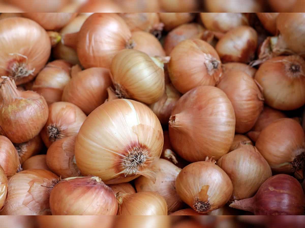 Govt to begin procurement of 5 lakh tonnes of rabi onion in 2-3 days to protect farmers' interest