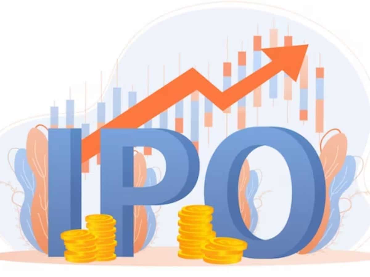 IPO this week: Bharti Hexacom set to become first public offering of FY25