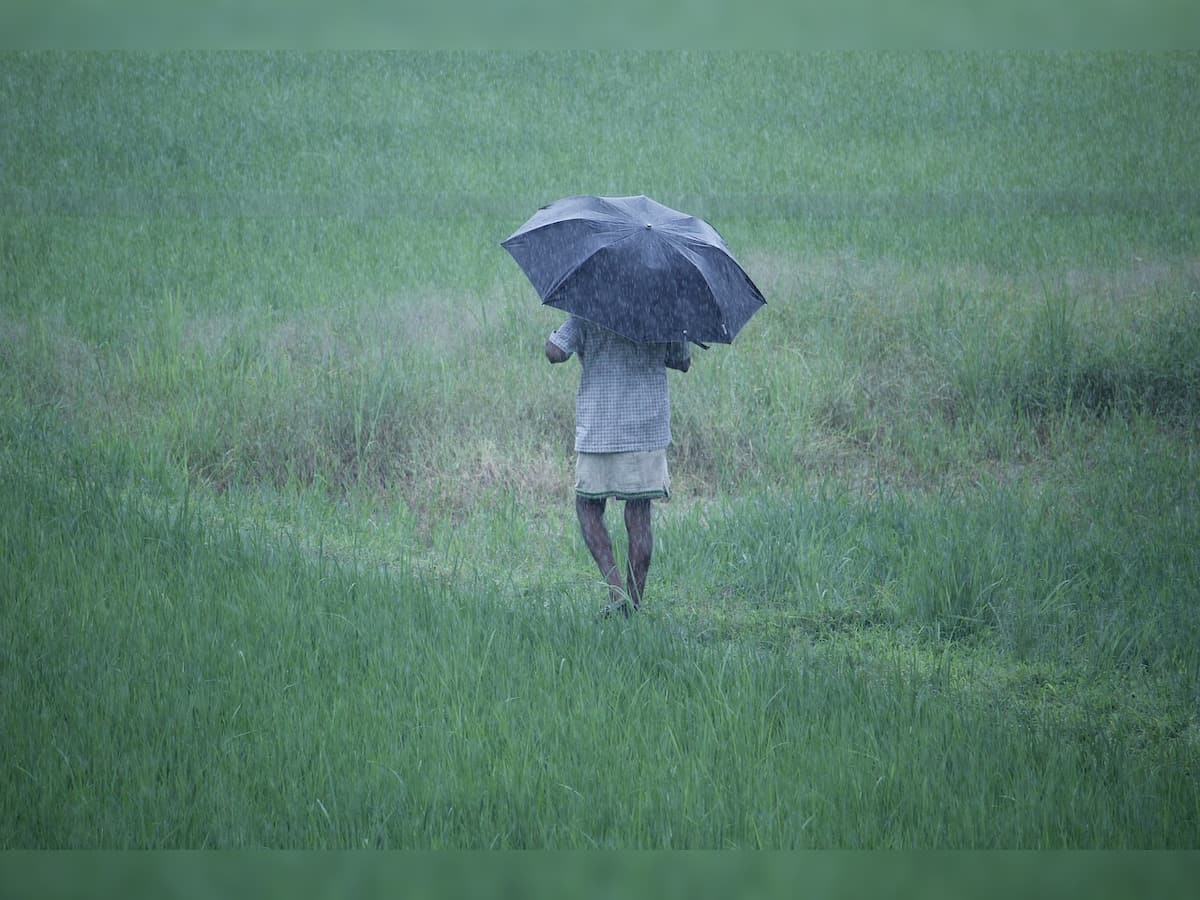 Weather Update: Rains lash several parts of Punjab
