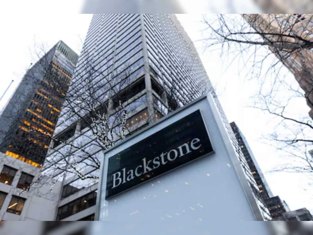 Blackstone eyes $300 million IPO, says report