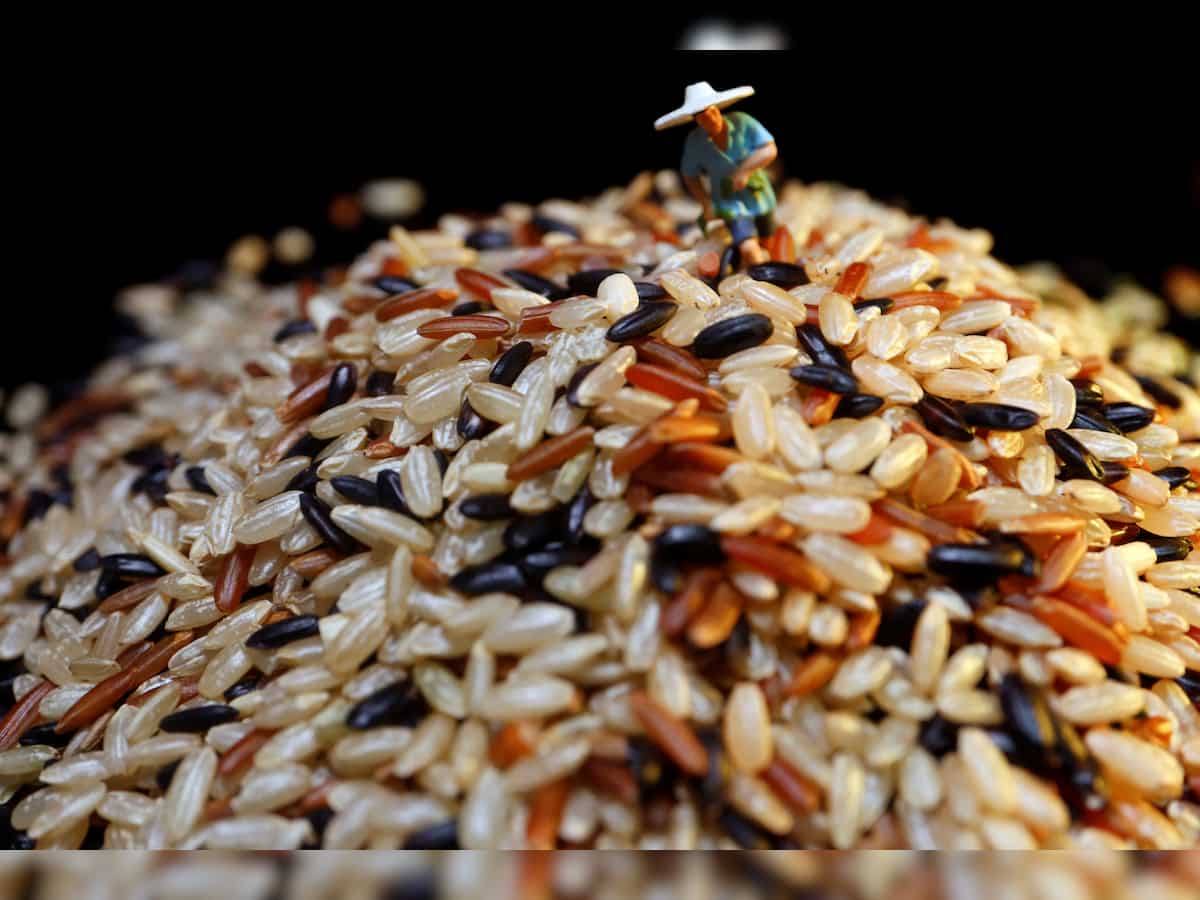 Govt allows up to 1,000 tonnes of Kala Namak rice export 