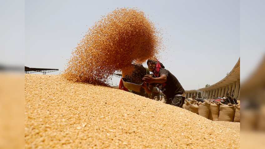 Centre aims 7-fold jump in wheat procurement from UP, Rajasthan, Bihar ...