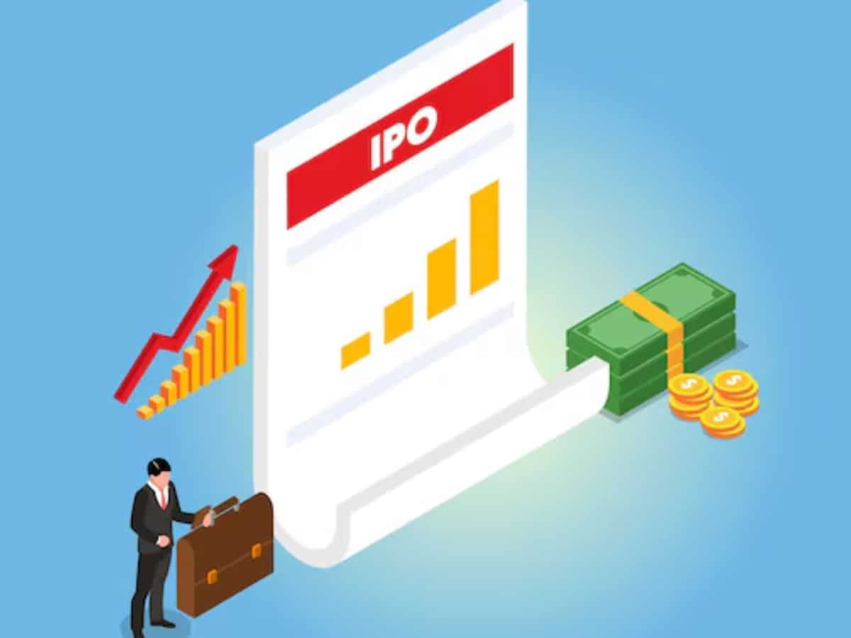 Upcoming IPOs in FY25: From Swiggy to Ola Electric to Tata Play, here's what to expect from IPO market