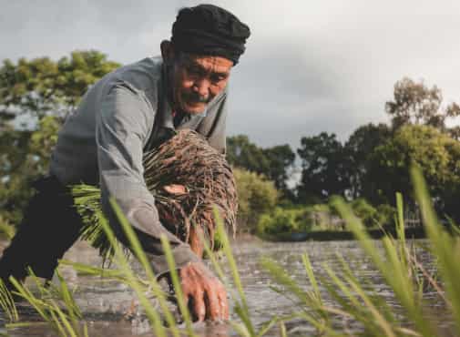 PM Kisan Mandhan Yojana: Farmers to get pension of Rs 3,000 per month on depositing - Know details here