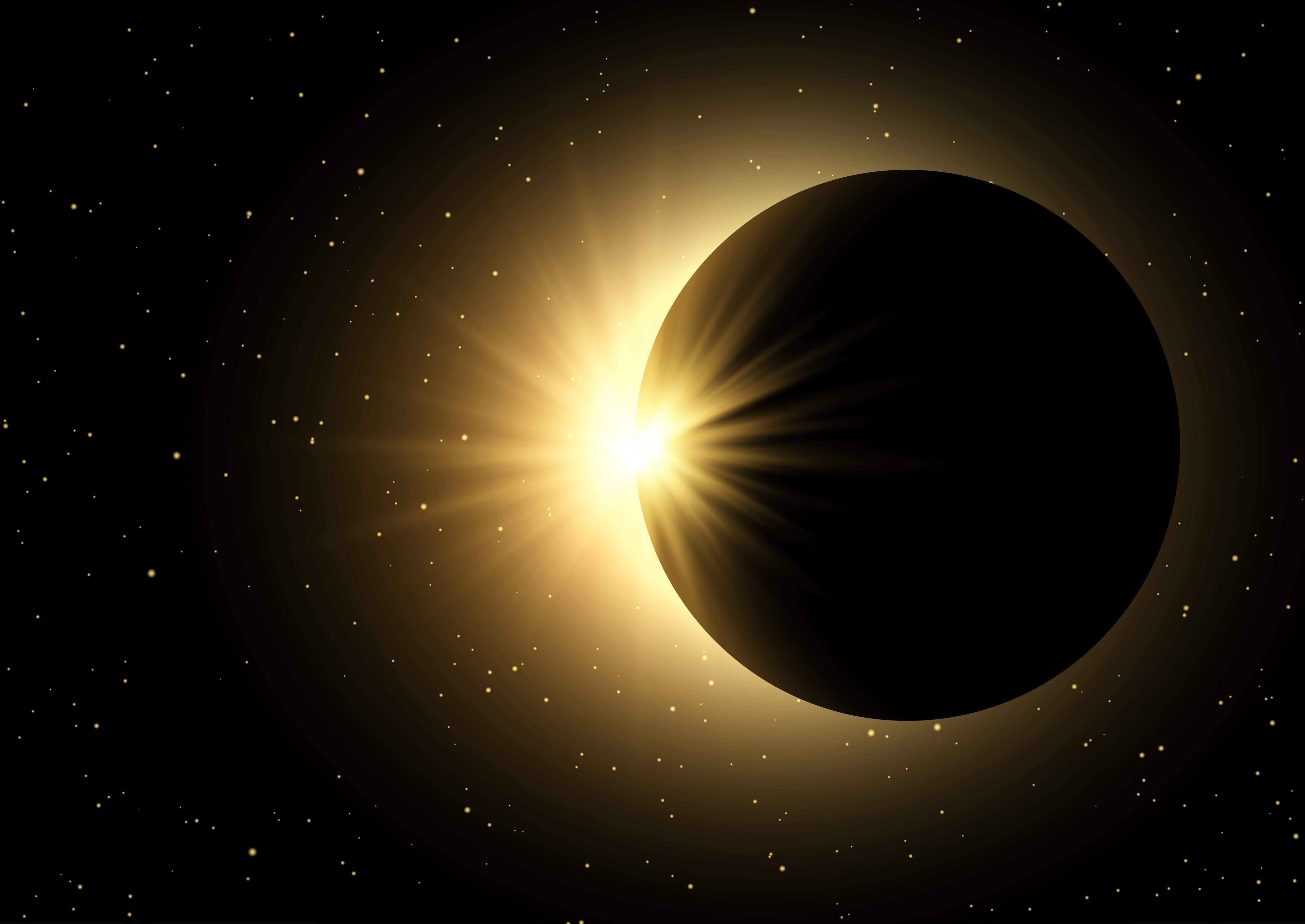 1st solar eclipse of 2024 garners 1.2 million posts on X: CEO Linda ...