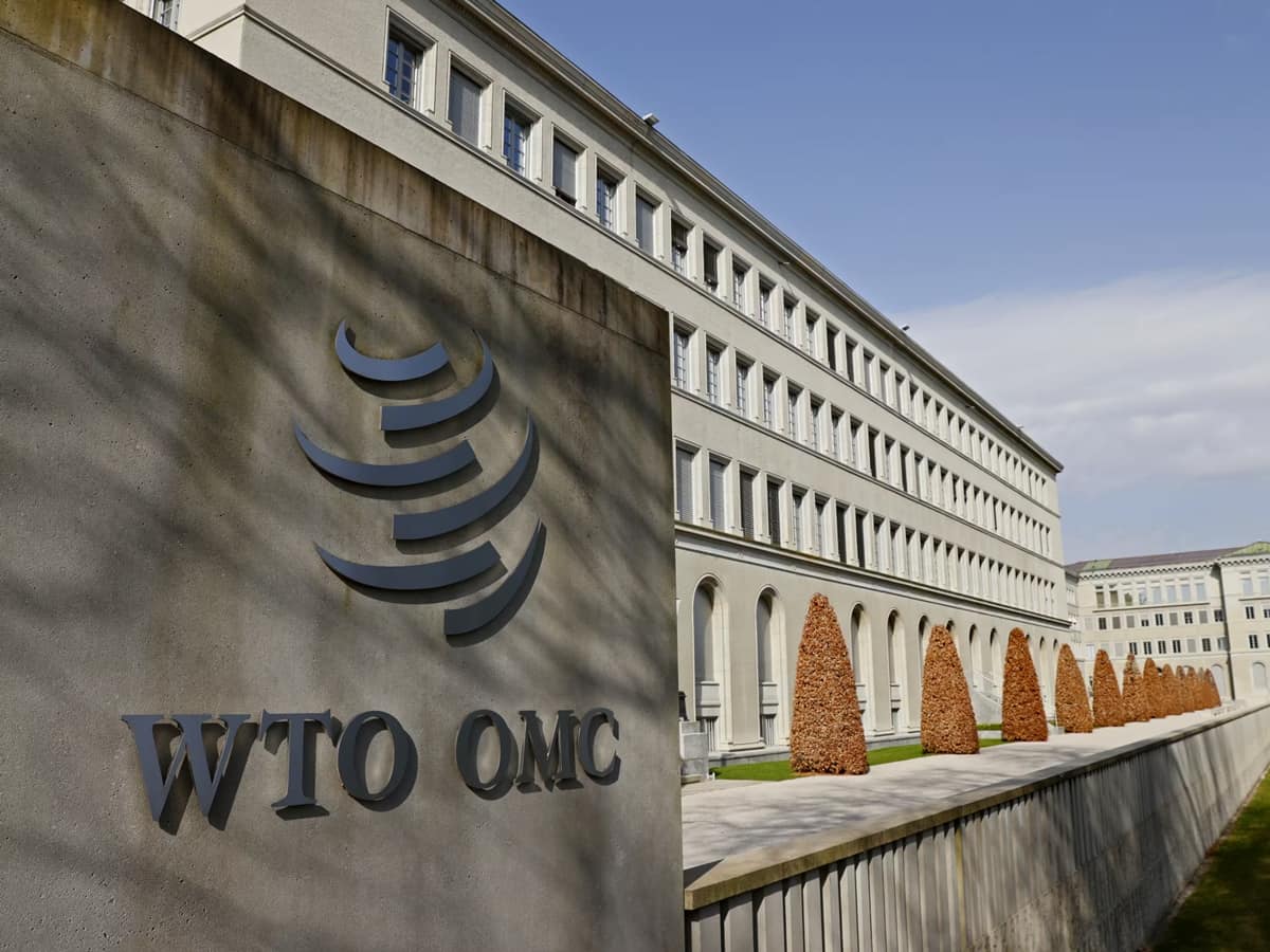 Global trade growth to rebound this year; geopolitical tensions pose downside risks: WTO forecast 