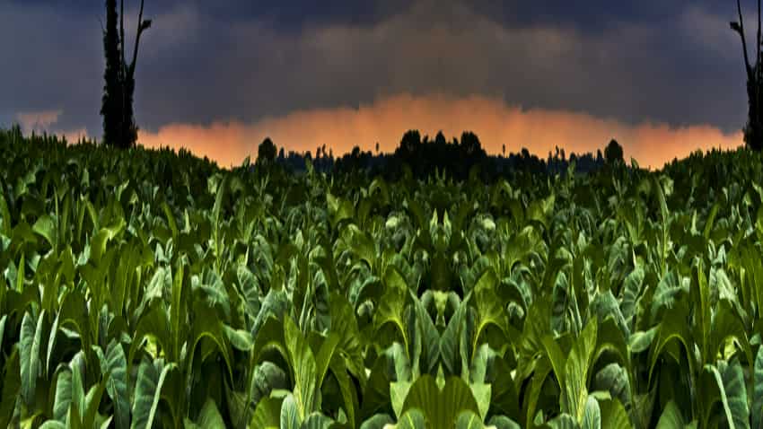 VST Industries jumps 3.42% after Radhakishan Damani bought 2.33 lakh shares in firm