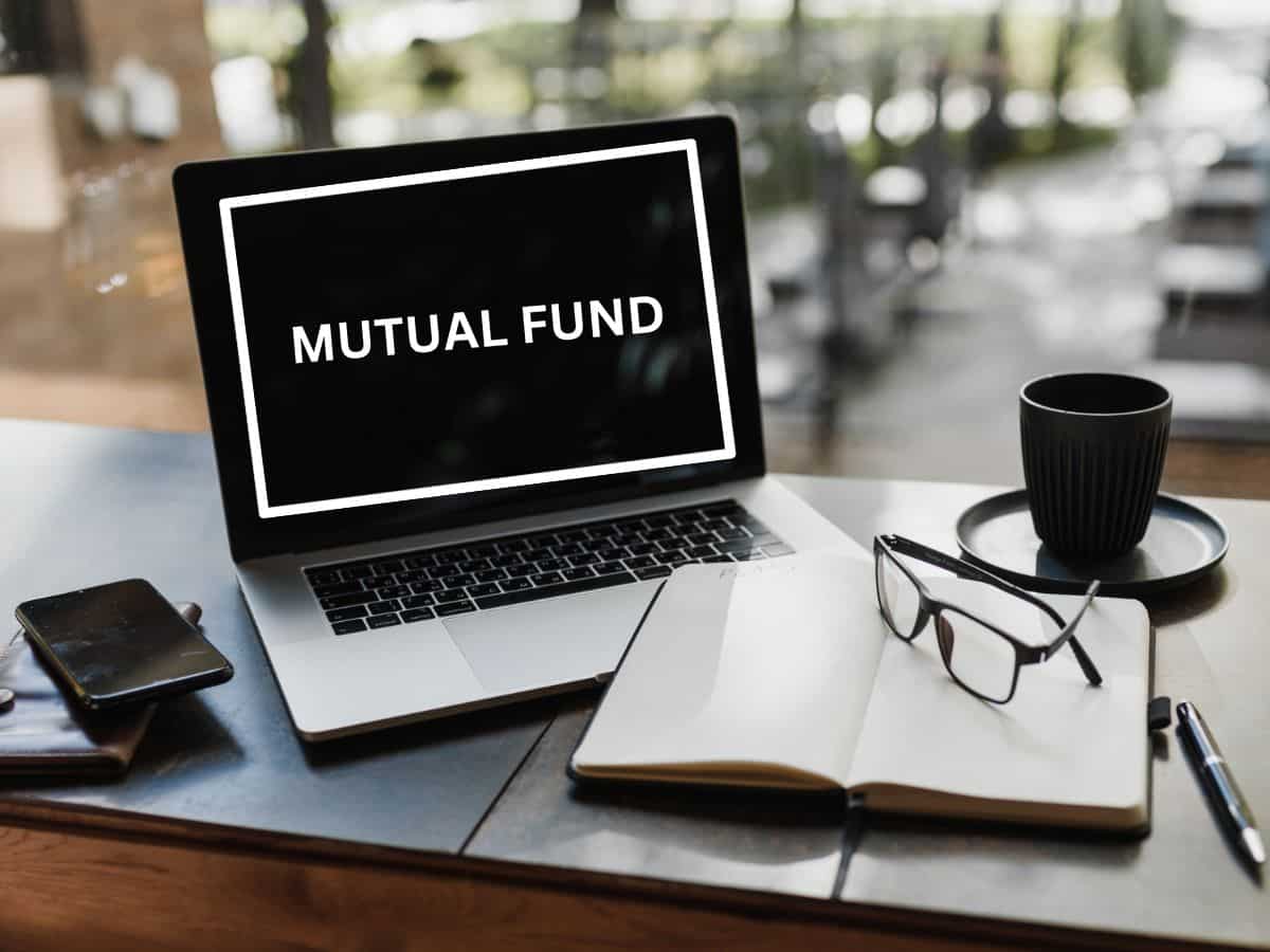 Small-cap mutual funds' assets soar 83% to Rs 2.43 lakh crore in FY24 on retail investor boom 