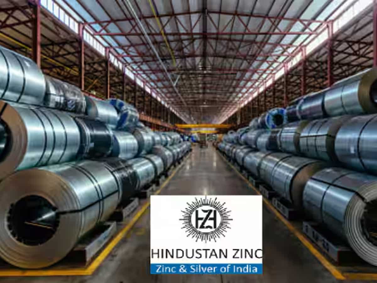 Hindustan Zinc to continue to engage with govt on demerger proposal: CEO 
