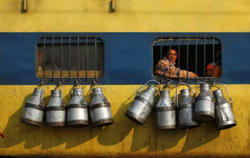 Hatsun Agro posts over 100% rise in Q4 PAT at Rs 52.16 crore