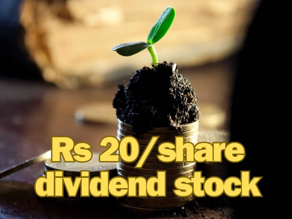 Rs 20/share dividend stock: IndiaMART InterMESH announces payout—check out record date