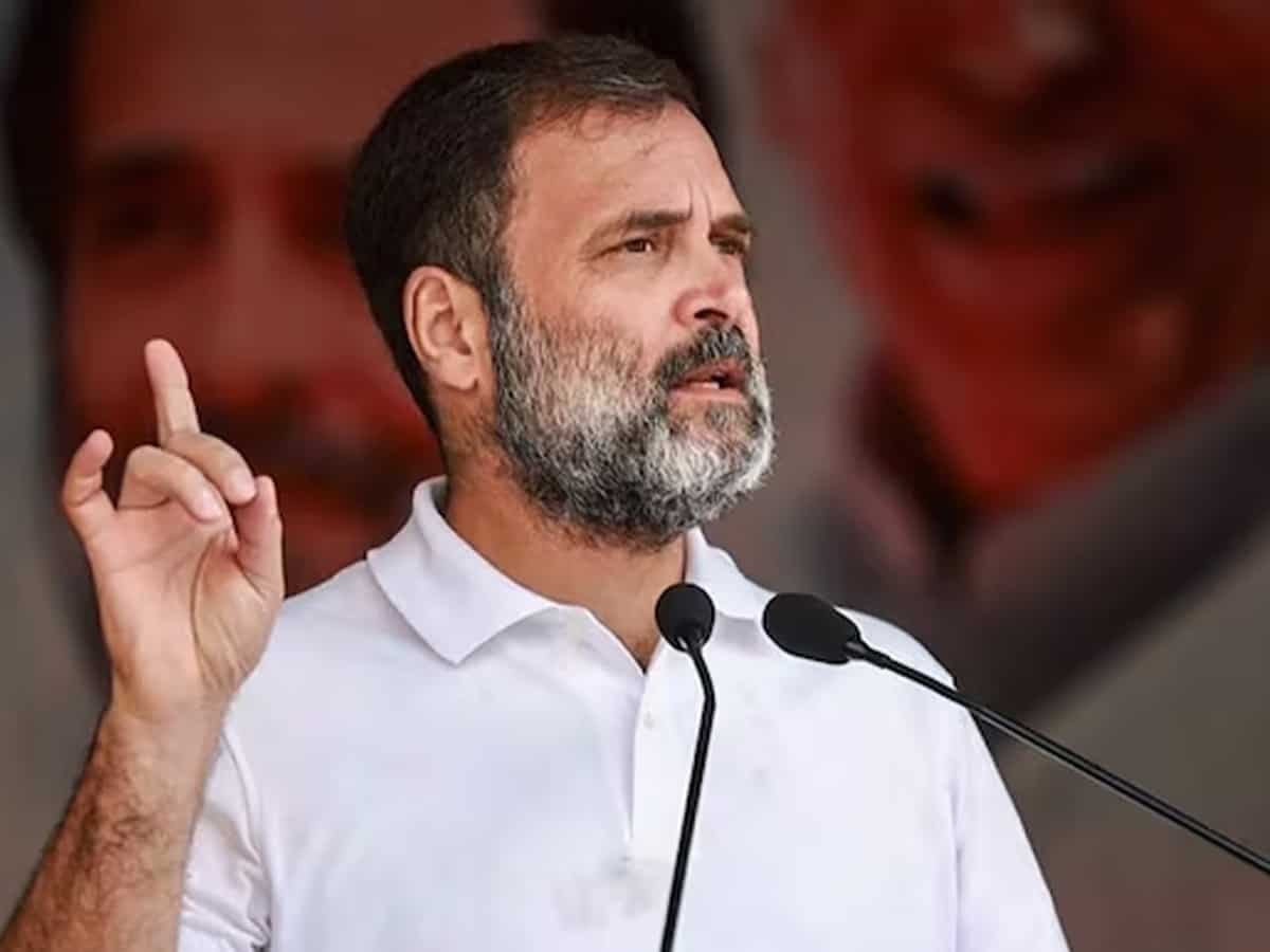 Lok Sabha Elections 2024: Rahul to contest from Rae Bareli, no Gandhi in Amethi this time