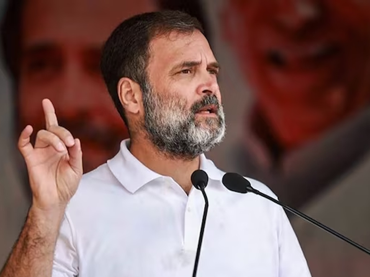 Lok Sabha Elections 2024: Rahul to contest from