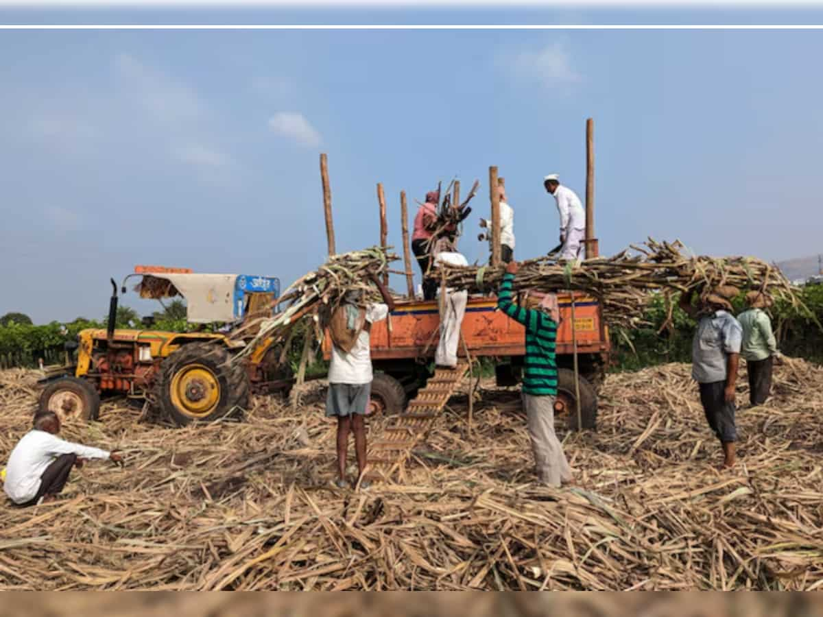 Sugar production in March meets ISMA expectations, sugar body targets two million tonnes exports