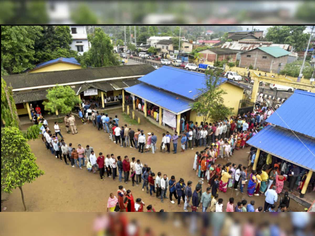 LS Polls 2024: 30.94% voting till 11 AM in 2 Lok Sabha seats in Goa