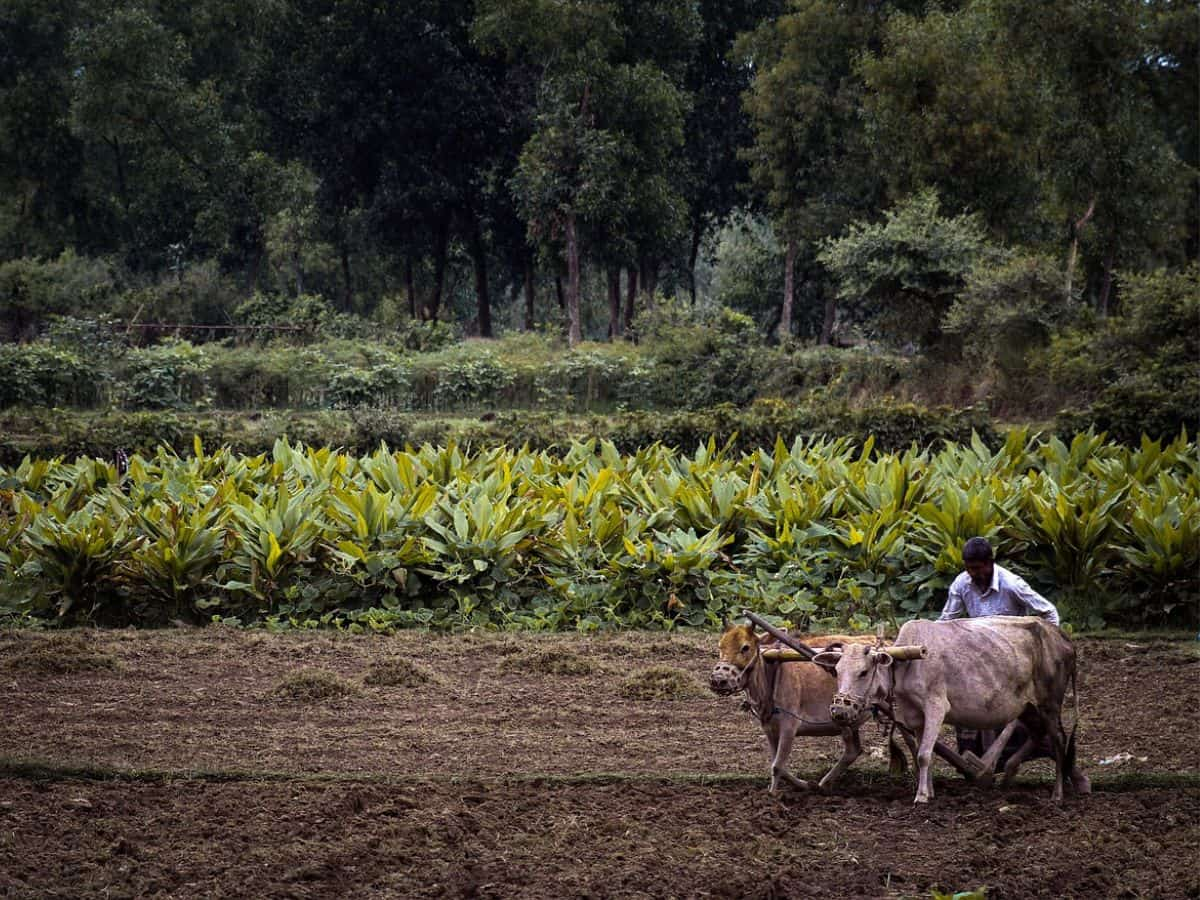 PM Kisan 17th Installment: CSC Centre Help