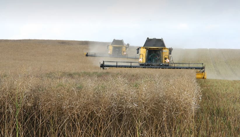 PM Kisan 17th Installment: Farmers must do eKYC to receive money under PM Kisan Samman Nidhi Yojana, check details