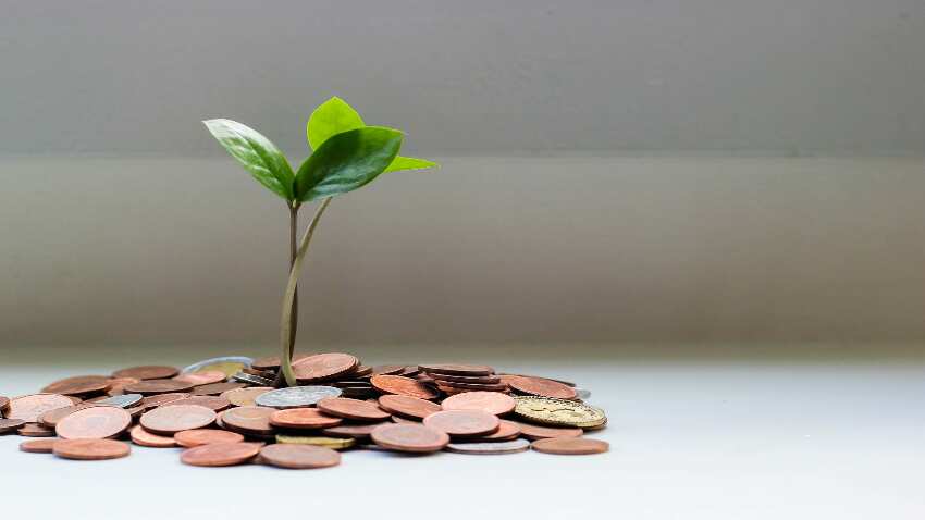 Top 7 SIP Mutual Funds in 3 Years: What Rs 10,000 SIP in each fund has given