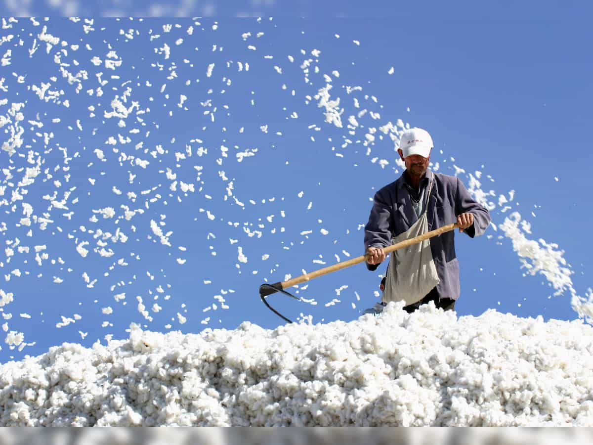 India's cotton exports may rise 27% to 28 lakh bales in 2023-24 season: CAI