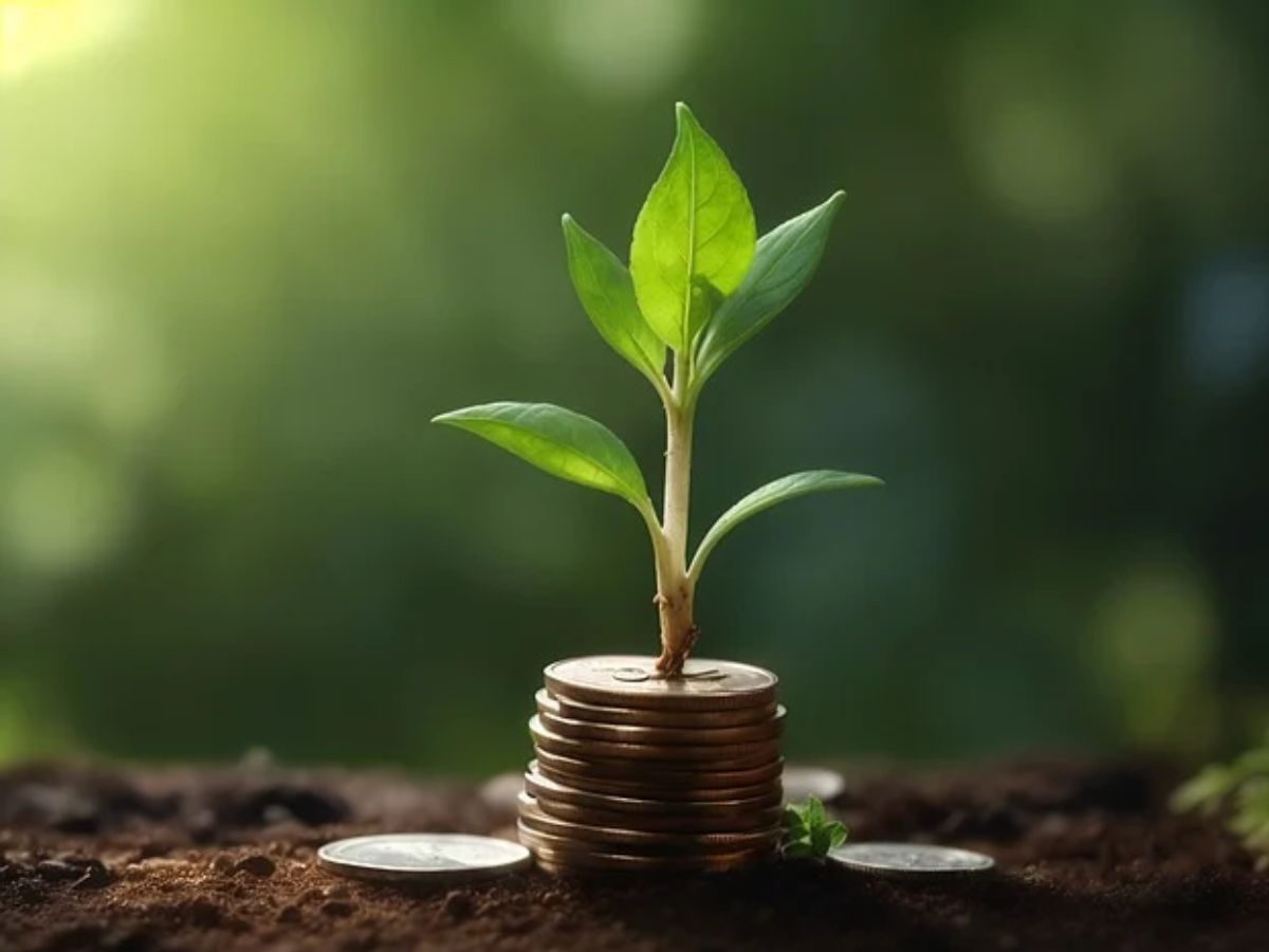 Top mutual funds to invest in 2025 These ELSS schemes have given over