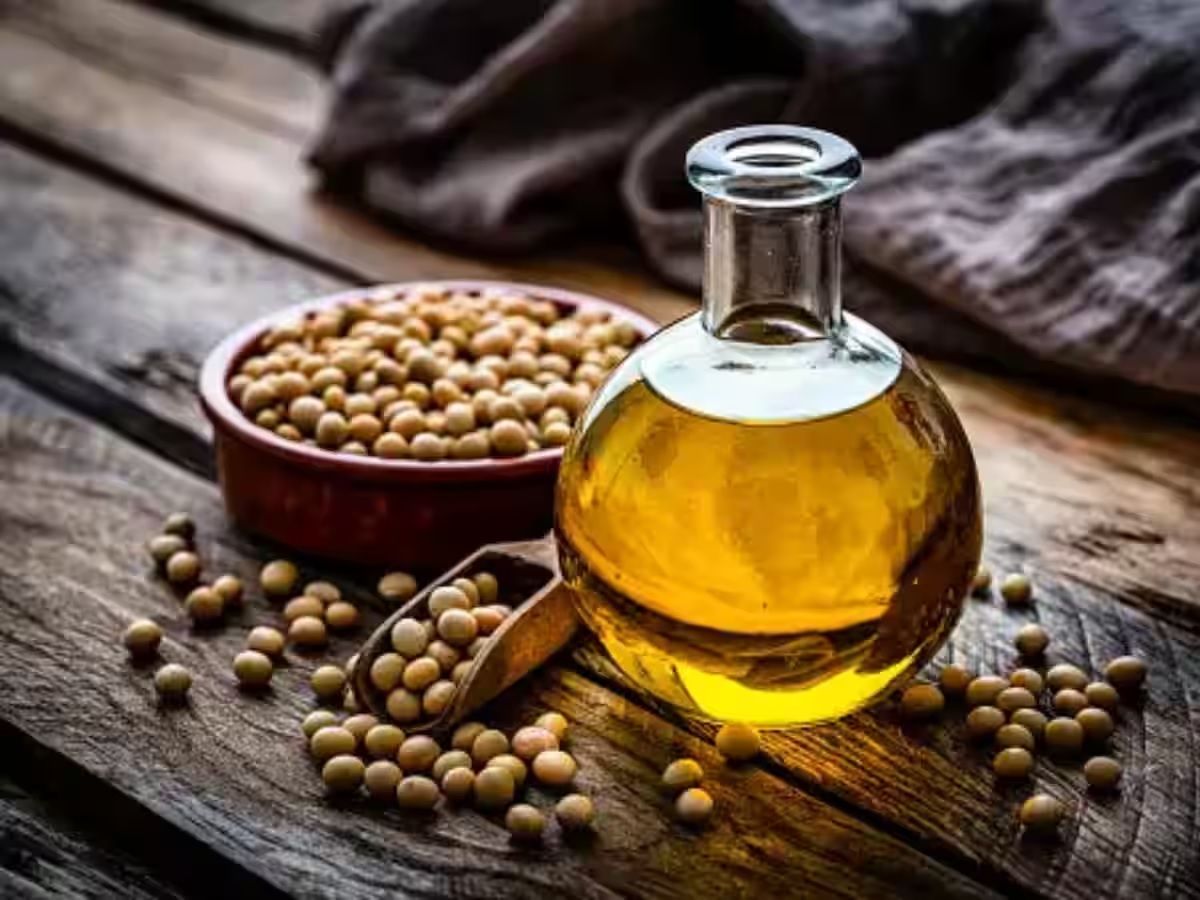 India's oilmeal exports start 2024-25 on a weak