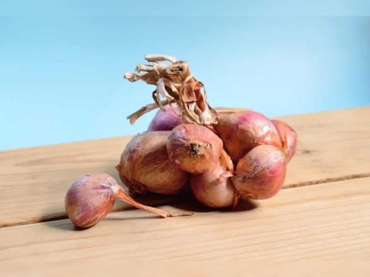 India exports over 45,000 tonnes onion after lifting ban 