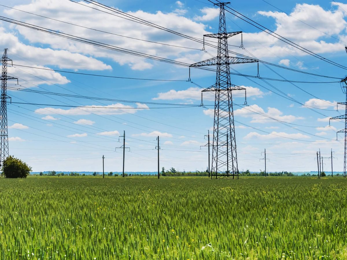 Power Grid Share Price Target PSU Power Stock Slips 5 Post Q4 Results power-grid-share-price-target-psu-power-stock-slips-5-post-q4-results