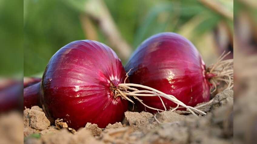 Centre plans big scale radiation processing of onions to prevent shortages
