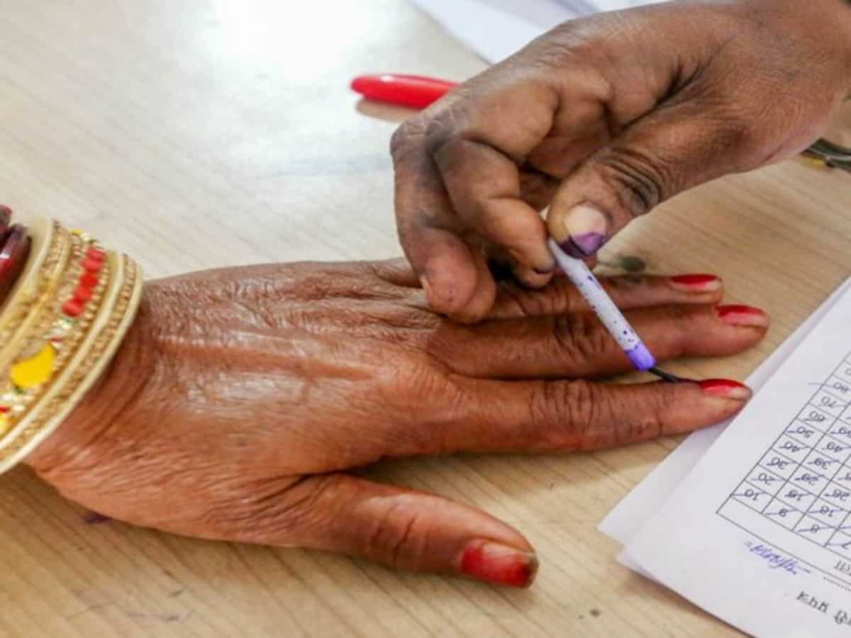 Lok Sabha Election Phase 6: Delhi records 21.69% turnout till 11 am, highest in North East Delhi seat 