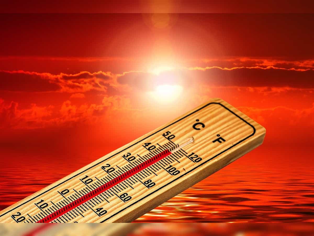 Rajasthan Weather Update: Phalodi recorded maximum temperature of 49°C on May 24, 6 die of suspected heat stroke