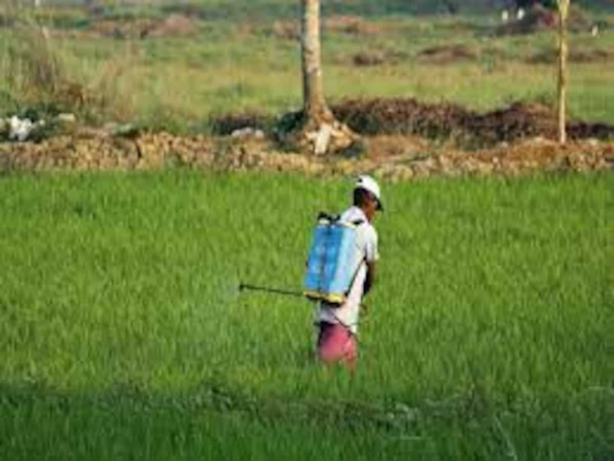 India's agrochemical industry poised to grow 9% CAGR over next few years: Report
