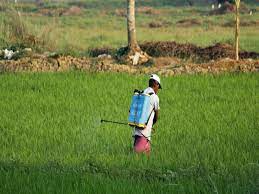 India's agrochemical industry poised to grow 9% CAGR over next few years: Report