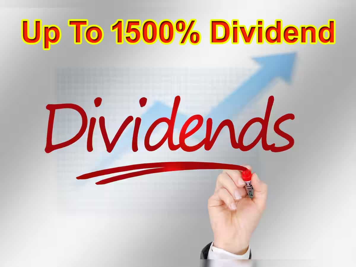 Dividend Stocks 2024 From DOMS Industries to Divis Lab These