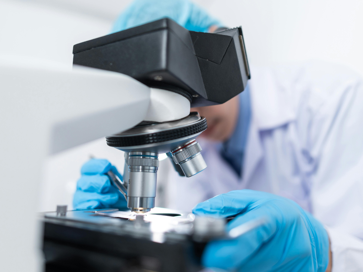 This midcap pharma company gains over 2%,inches close