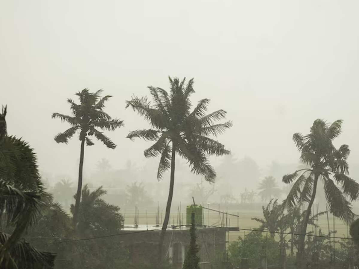 Cyclone Remal Death Toll in Assam: Heavy storms lash parts of state, CM instructs officials to be on alert